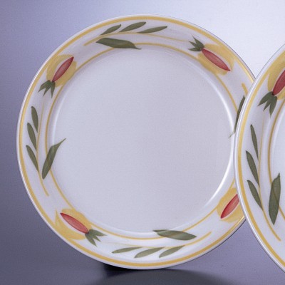 Collection of Western Plates 54731