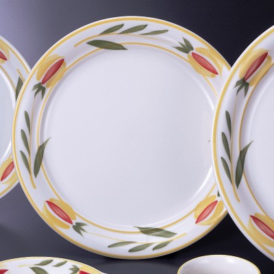 Collection of Western Plates 54733