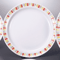 Collection of Western Plates 54762