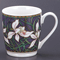 Soup cups 58704
