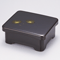 Lacquer ware 65602