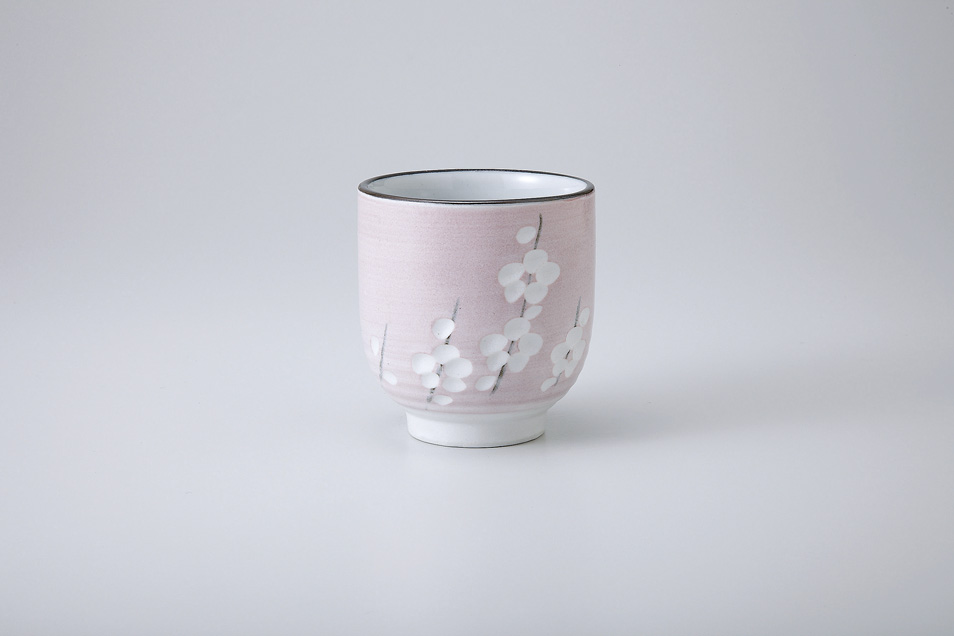 �W�s���N�~�Ėڎ��i�i�P�P�����j