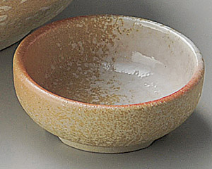 ��ǂ��ې��v