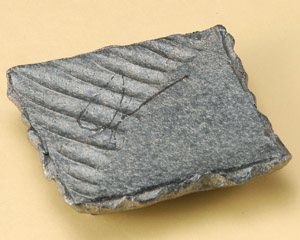 ���q�ς������t�p�M�i�M�y�āj