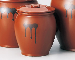 �ۂ��ߊW�t�P���i�튊�āj