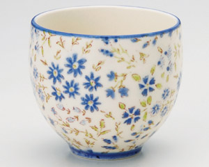 �Ȃł������ہi�j