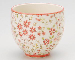 �Ȃł������ہi�ԁj