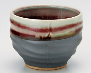 �C���Z���q����