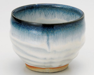 ���Z���q����