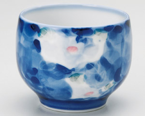 �T�U���J�ʓ���