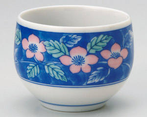 �_�~�R���ԋʓ���