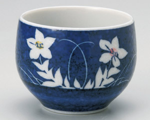 �W��j�[�ʓ���