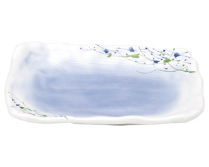 ��ʐD���������p�M