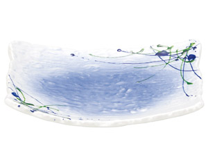 ��ʐD���������p�V�D�O�M