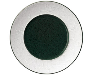 �o���b�N���T�r�@�Q�Scm�v���[�g