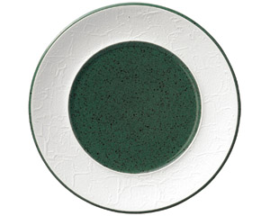 �o���b�N���T�r�@�Q�Pcm�v���[�g