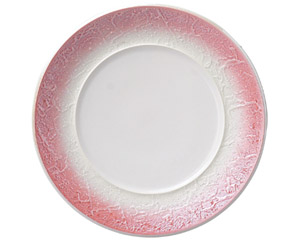 �o���b�N�s���N���X�^�[�@�Q�Pcm�v���[�g