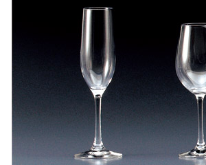 �Q�S�O�j�T�S�t���[�g�V�����p��