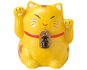 �����哖�菵���L